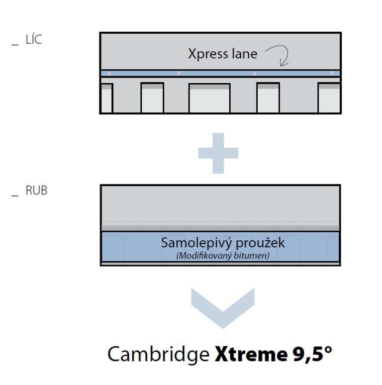 IKO Cambridge Xtreme 9,5° rub a lic
